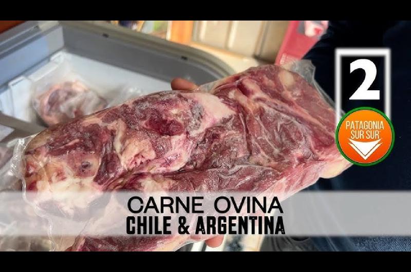 Dura respuesta de Chile a una medida del Gobierno- prohiacuteben la carne argentina por temor a la aftosa
