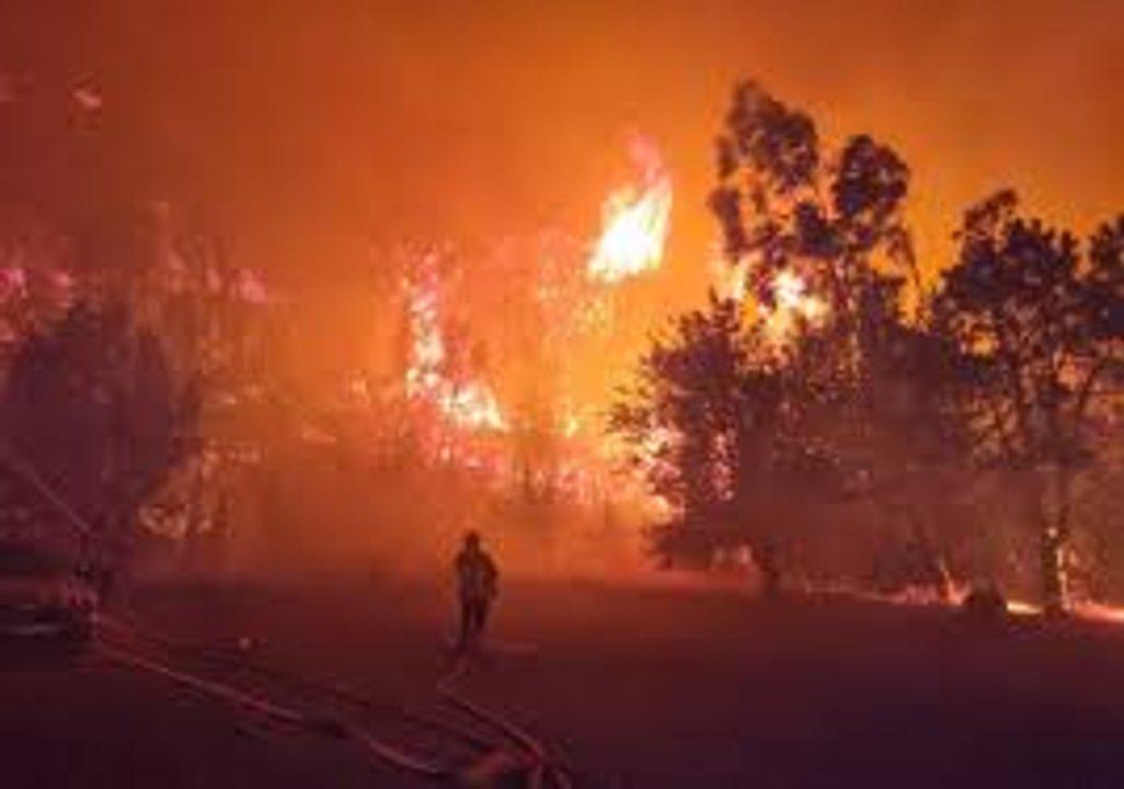 Incendio forestal arrasoacute maacutes de 16000 hectaacutereas en el sur de Francia