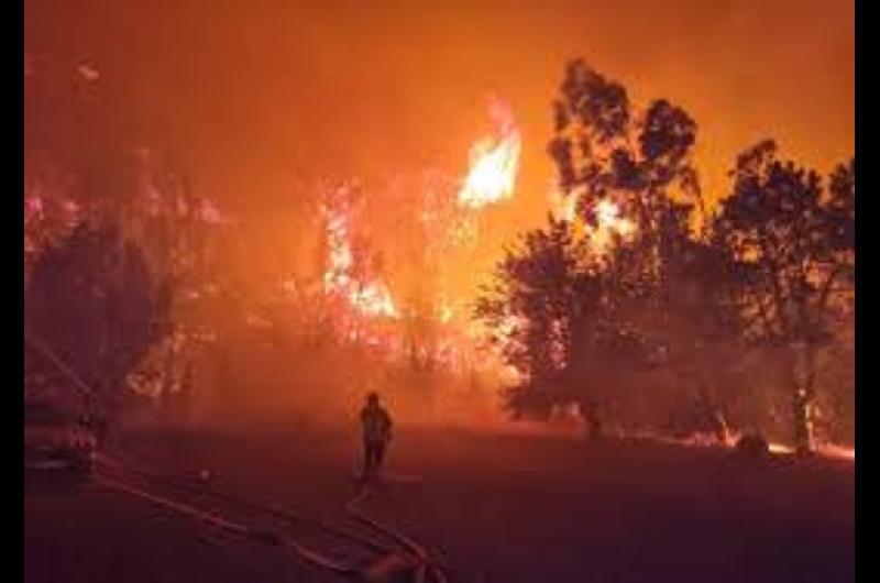 Incendio forestal arrasoacute maacutes de 16000 hectaacutereas en el sur de Francia