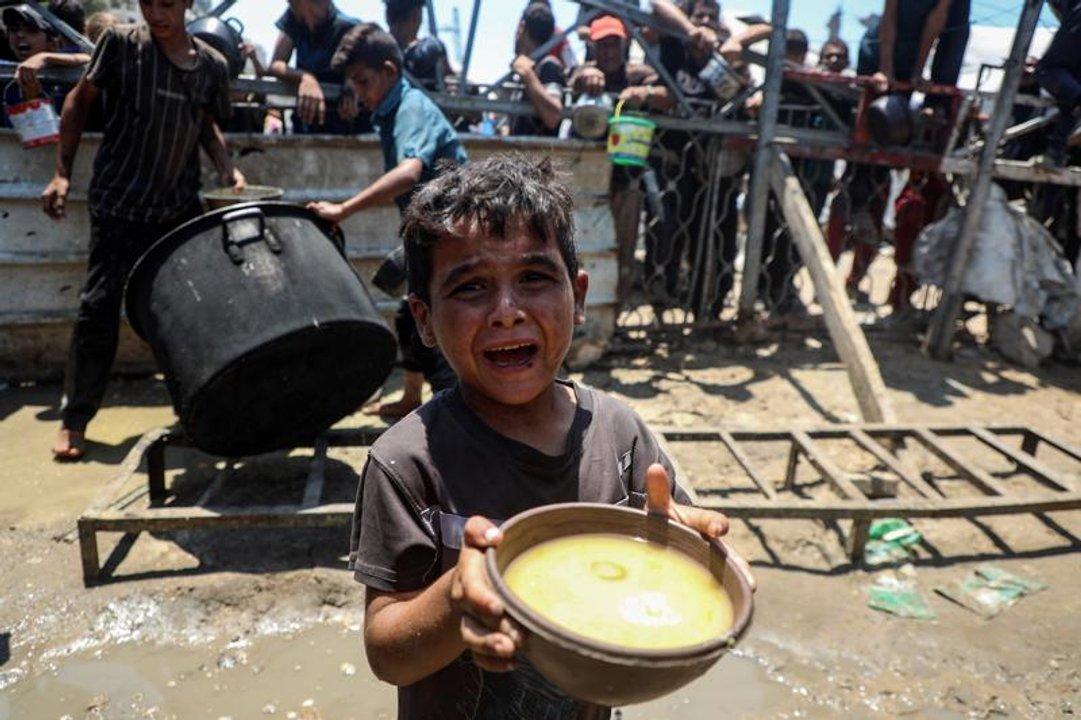 Iraacuten y Egipto instan a los Estados musulmanes a tomar medidas para detener el genocidio en Gaza