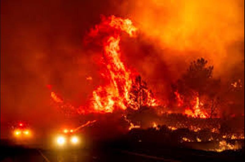 Incendio forestal en Los Aacutengeles dejoacute miles de evacuados y maacutes de 2000 hectaacutereas calcinadas