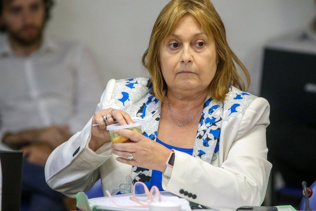 Graciela Ocantildea- No se puede discutir la economiacutea para hacer campantildea electoral