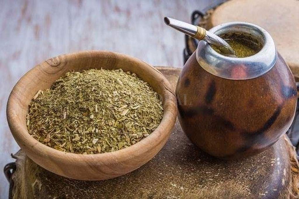 Yerba mate- desde el INYM advierten que el sistema yerbatero ldquoestaacute en riesgordquo