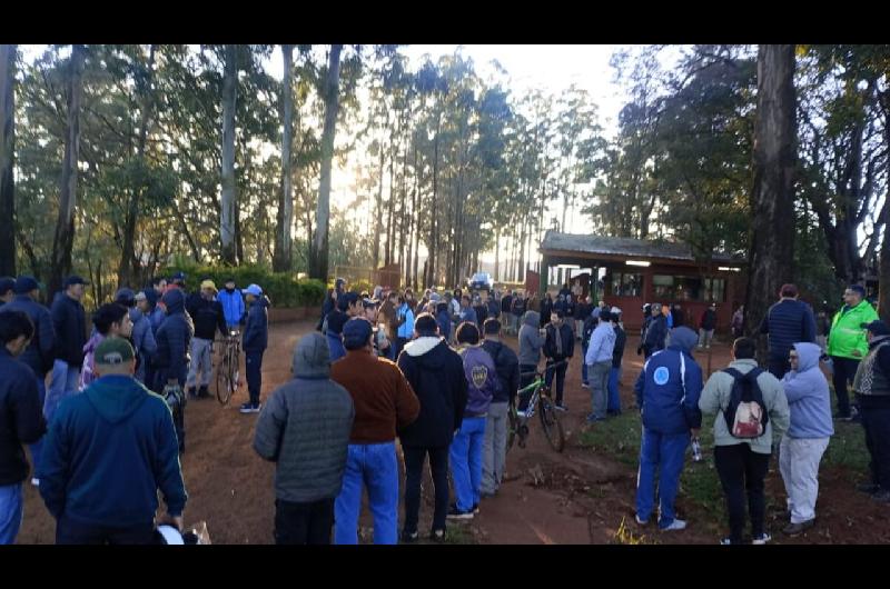 Suspenden a 520 trabajadores madereros en Virasoro por cierre de planta forestal