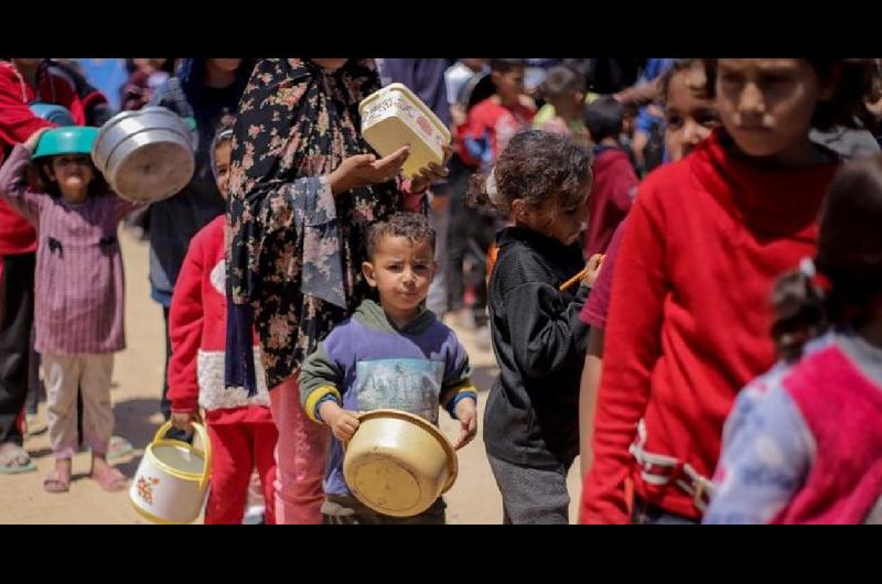 Ya son 227 los muertos relacionados con la desnutricioacuten en Gaza afirmoacute la ONU