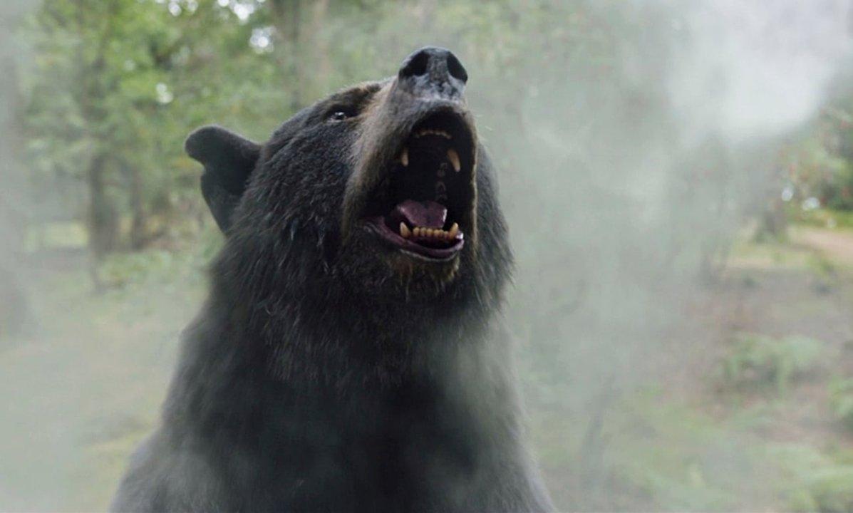 Coacutemo es Oso Intoxicado la increiacuteble peliacutecula inspirada en hechos reales que llegoacute a Netflix
