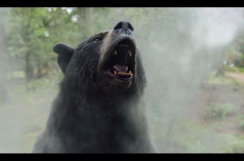 Coacutemo es Oso Intoxicado la increiacuteble peliacutecula inspirada en hechos reales que llegoacute a Netflix
