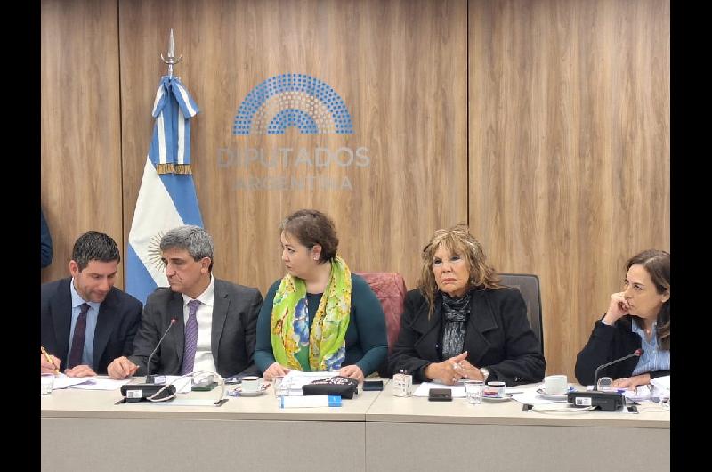 Controles a laboratorios de fentanilo- la Caacutemara de Diputados busca respuestas