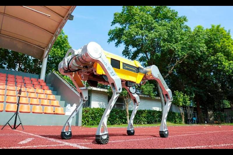 Un robot cuadruacutepedo chino establecioacute el reacutecord Guinness en 100 metros lisos