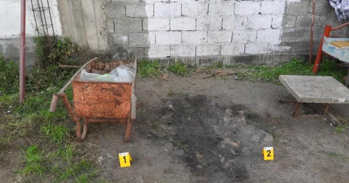 Antropoacutelogos acompantildearon las excavaciones en casa de Jurado
