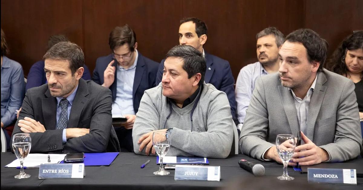 Jujuy participoacute del COFESA con eje en los exaacutemenes de Residencias Meacutedicas
