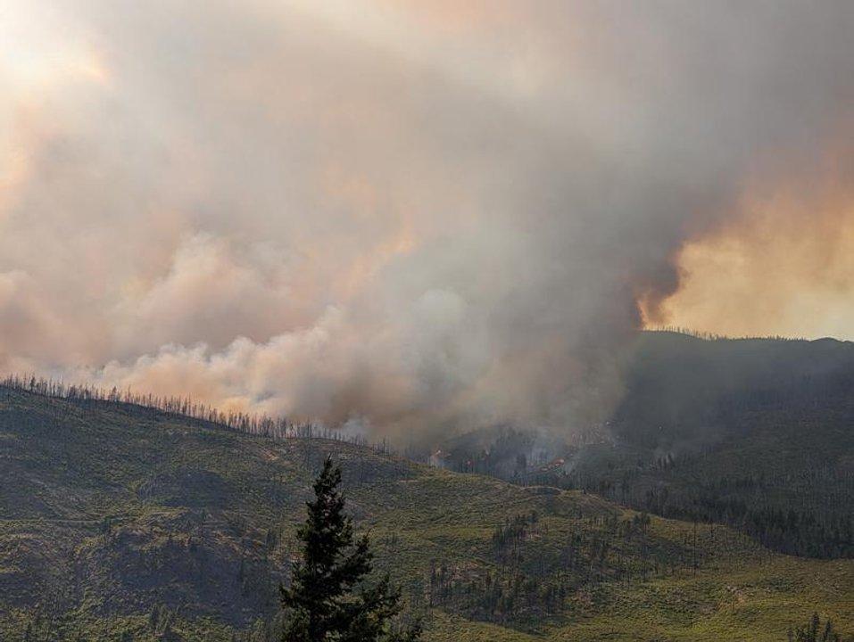 Los dantildeos causados por incendios forestales en la UE se cuadruplicaron este antildeo 