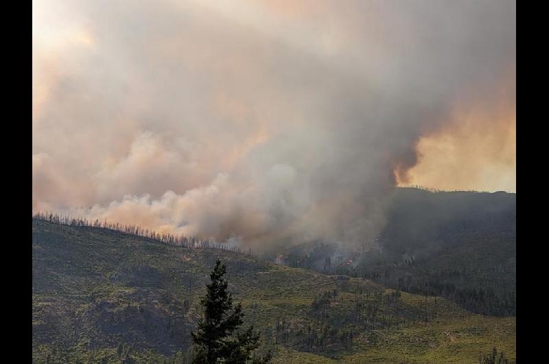 Los dantildeos causados por incendios forestales en la UE se cuadruplicaron este antildeo 