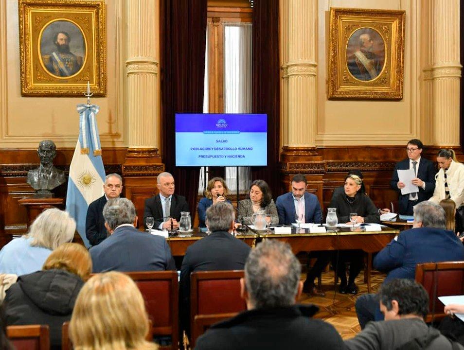 El Senado discute en comisioacuten los proyectos de financiamiento universitario y emergencia en pediatriacutea