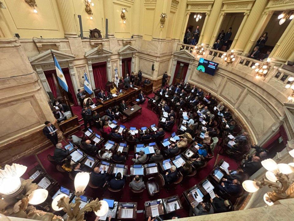 El Senado busca convertir en ley el financiamiento universitario y la emergencia en pediatriacutea