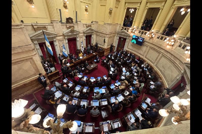 El Senado busca convertir en ley el financiamiento universitario y la emergencia en pediatriacutea