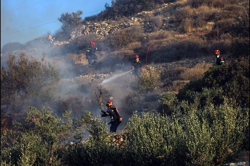 Bolivia declaroacute ldquoSituacioacuten de Emergencia Nacionalrdquo por incendios 