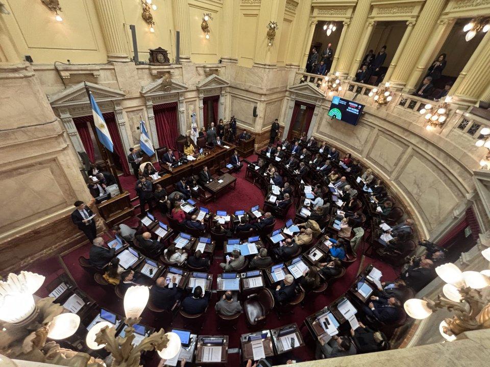 Con abrumadora mayoriacutea el Senado sancionoacute la emergencia en pediatriacutea con foco en el Garrahan