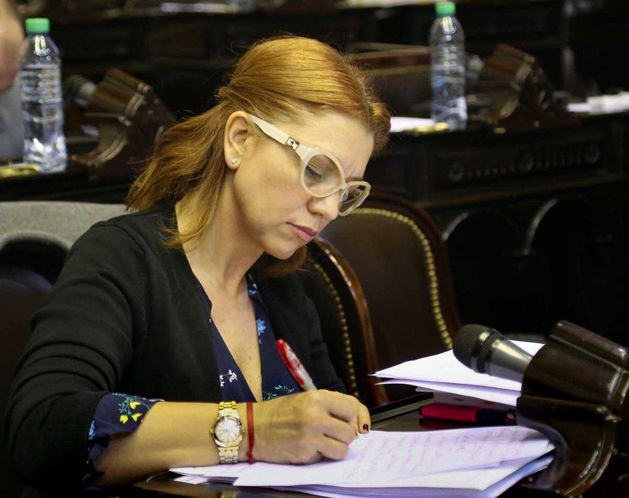 Milei vetoacute ley de emergencia para Bahiacutea Blanca y una diputada de la UCR estalloacute- ldquoLa ayuda no llegoacute a todosrdquo