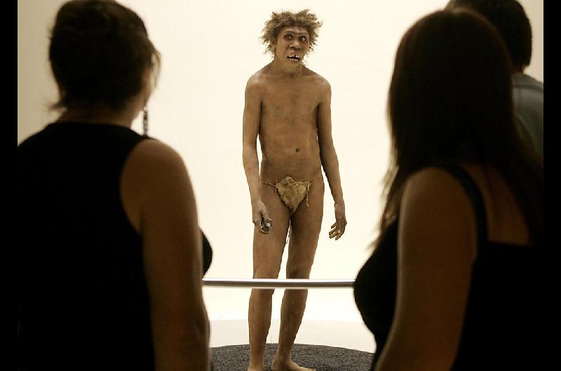 El hallazgo que reescribe la historia- encontraron el primer hijo de un neandertal y un humano moderno