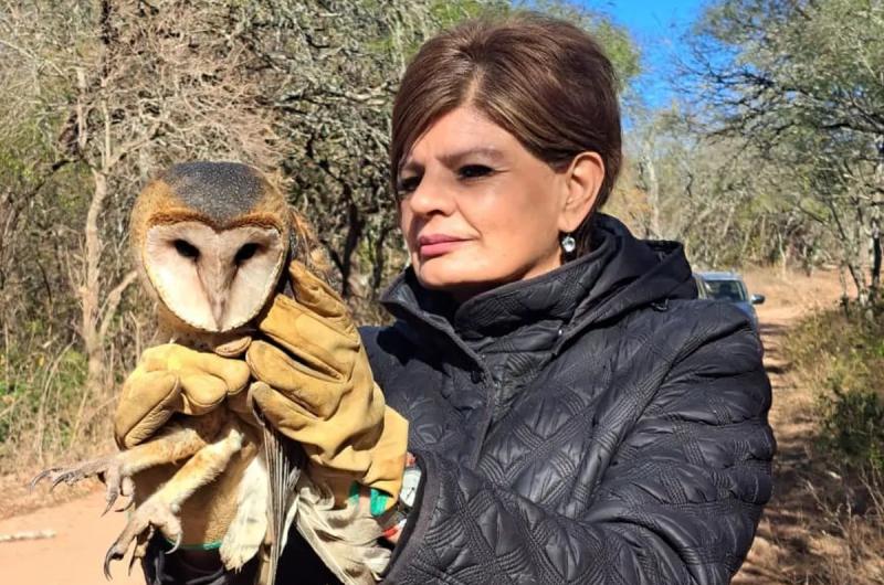 Nueva liberacioacuten de animales silvestres rescatados en el Parque Provincial La Reina
