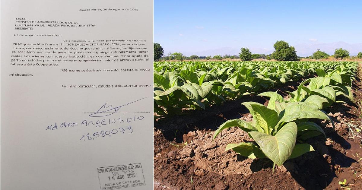 Tabacaleros denunciaron ser engantildeados para pedir la intervencioacuten a Cooperativa