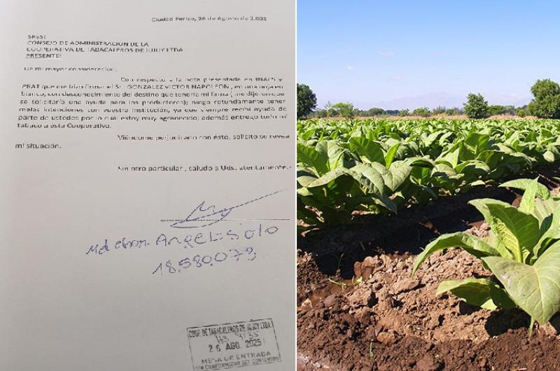 Tabacaleros denunciaron ser engantildeados para pedir la intervencioacuten a Cooperativa