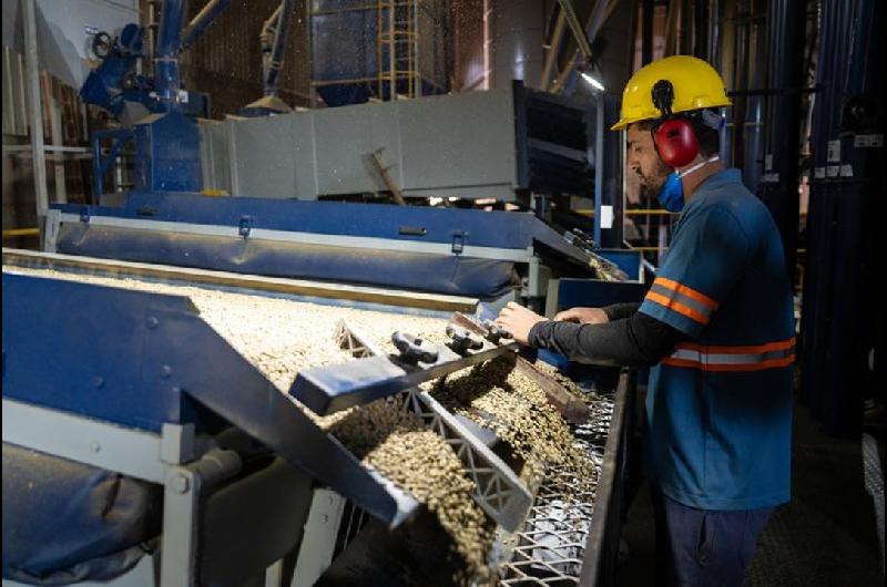 La economiacutea brasilentildea generoacute maacutes de 134 millones de nuevos empleos formales entre enero y julio de 2025
