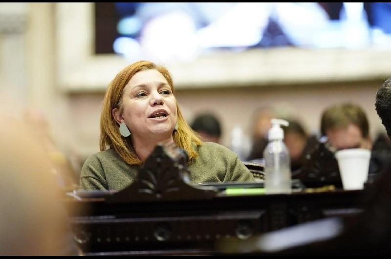 Karina Banfi advirtioacute sobre la crisis del radicalismo y la corrupcioacuten en salud- Debe cortarse de raiacutez