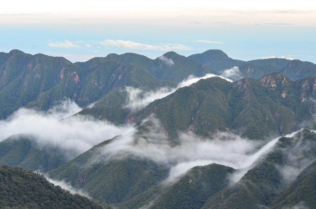 La Corte Suprema condenoacute al Estado nacional y a Jujuy por dantildeo ambiental en el Parque Nacional Calilegua