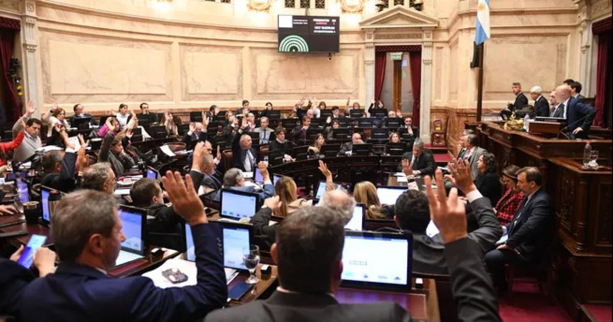 El Senado convirtioacute en ley la Emergencia en Discapacidad