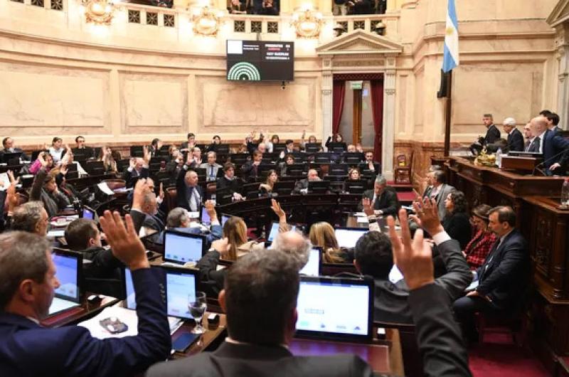 El Senado convirtioacute en ley la Emergencia en Discapacidad