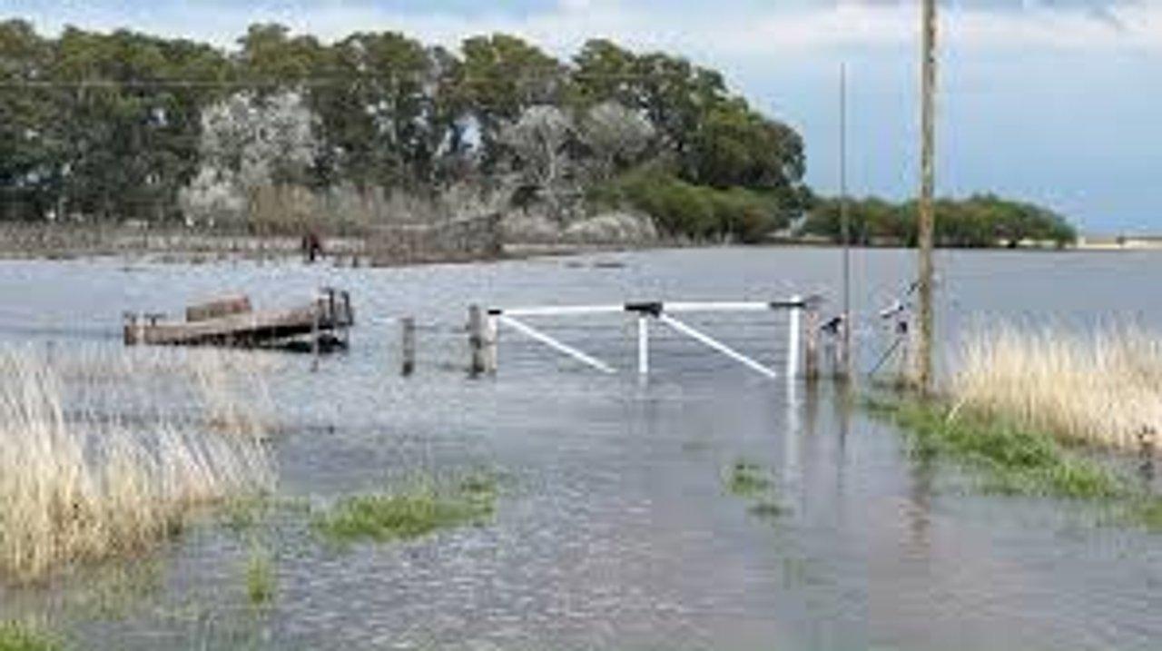 Declaran la emergencia agropecuaria en Buenos Aires y San Juan