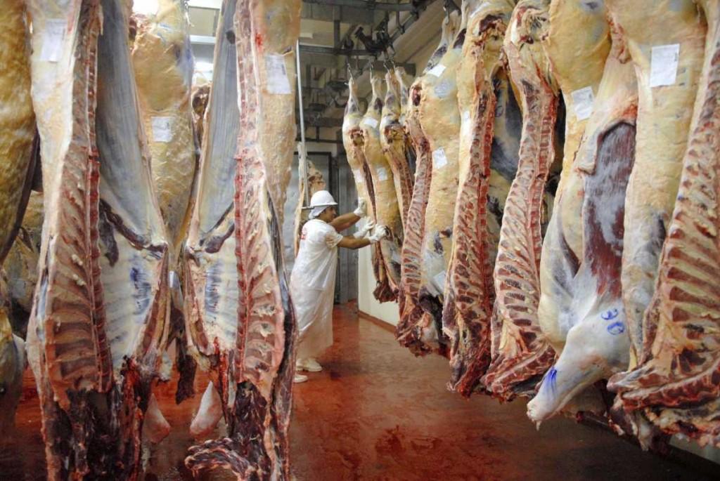 Vuelve la barrera sanitaria- una cautelar suspende por un mes el ingreso de carne con hueso a la Patagonia