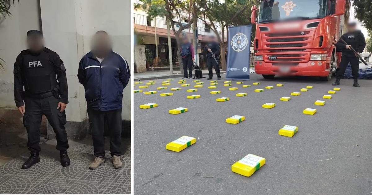 Entre papayas y bananas hallan 85 kilos de cocaiacutena en Santiago