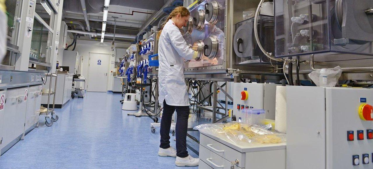 Iraacuten permitiraacute que la OIEA realice inspecciones de sus instalaciones nucleares