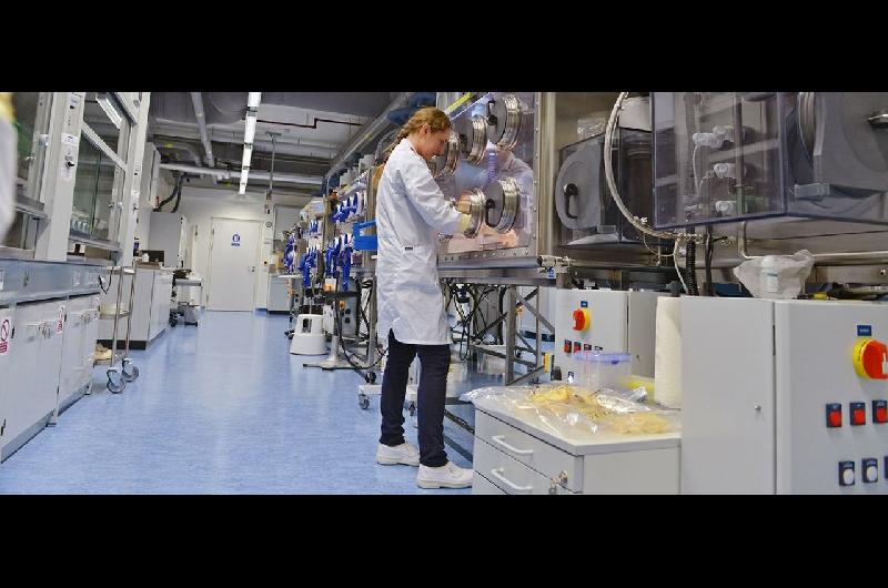 Iraacuten permitiraacute que la OIEA realice inspecciones de sus instalaciones nucleares