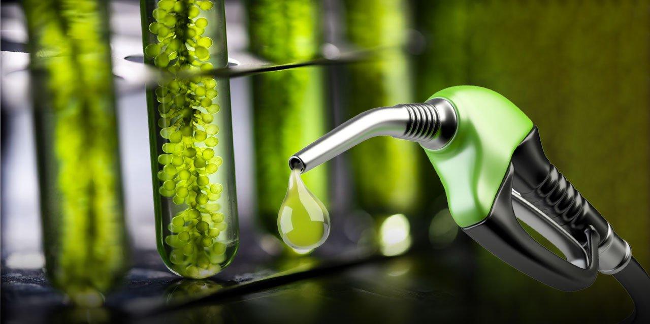 Fijan nuevos precios para los biocombustibles