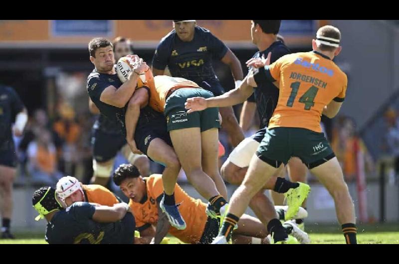 Asiacute estaacute el historial entre Los Pumas y Australia en el Rugby Championship