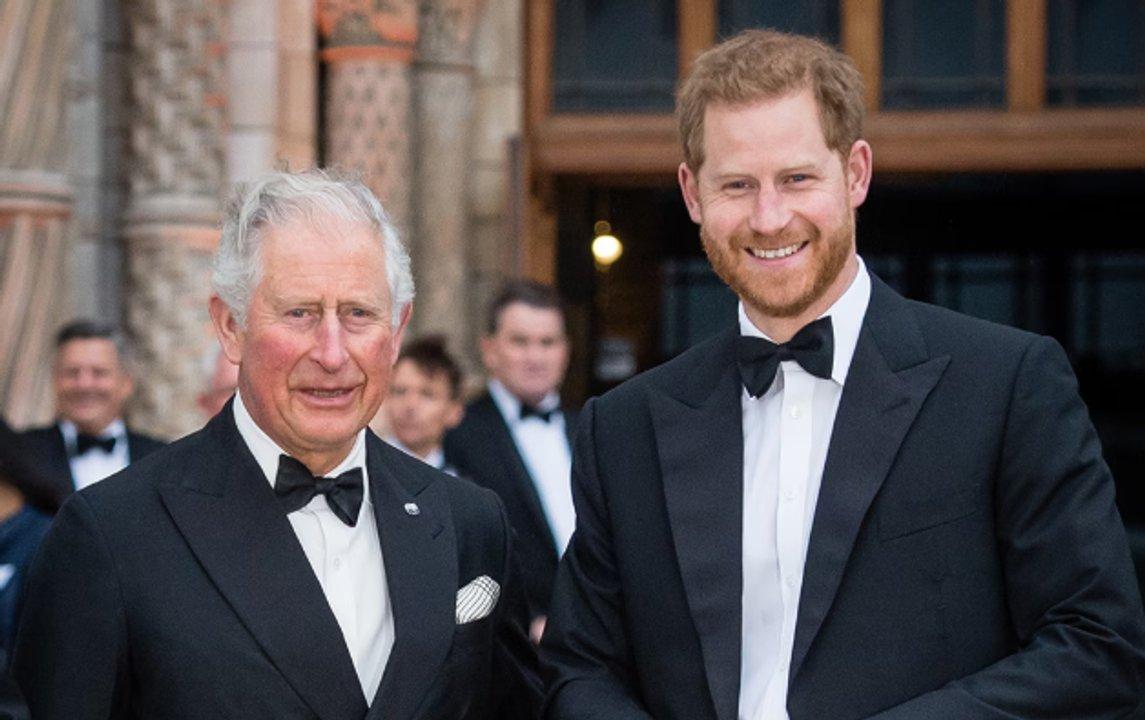 El priacutencipe Harry  se reencontroacute con el rey Carlos III en medio del distanciamiento