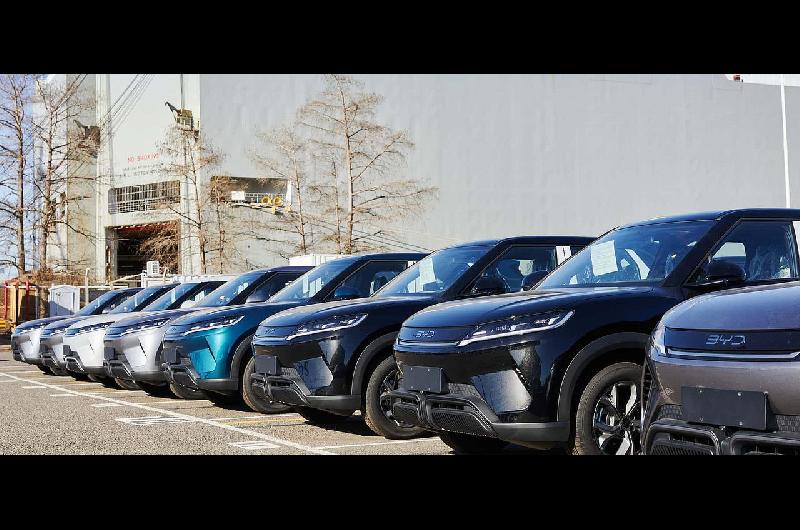 iquestQueacute autos eleacutectricos BYD llegan a la Argentina Modelos precios y coacutemo hacer un test drive 