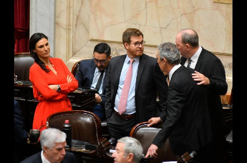 Optimismo opositor- Diputados debate los vetos al financiamiento universitario y el Garrahan 