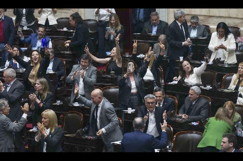 Alerta en el Gobierno- Diputados votoacute el tratamiento de la norma que complica el uso de DNU