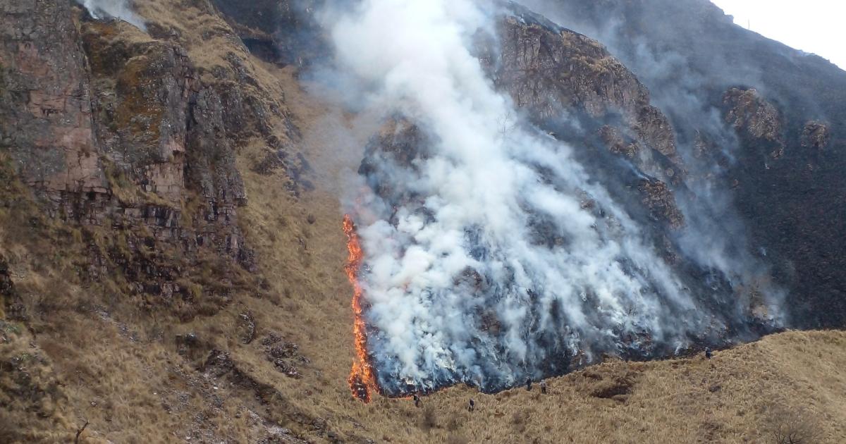 Intensa labor para extinguir el incendio forestal en Cerro Azul
