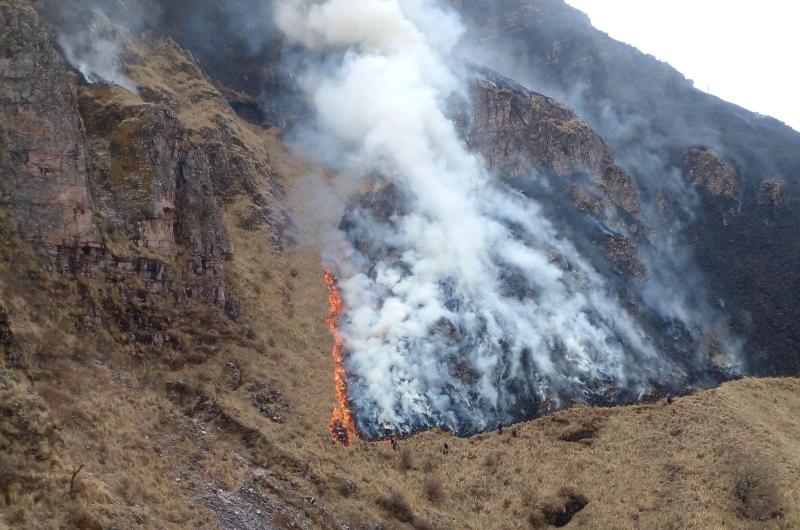 Intensa labor para extinguir el incendio forestal en Cerro Azul