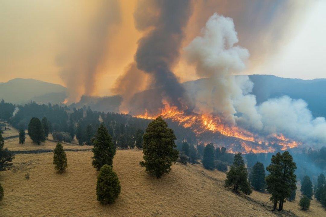 Incendios forestales destruyen maacutes del 30 -en-porciento- del Parque Nacional Etosha en Namibia