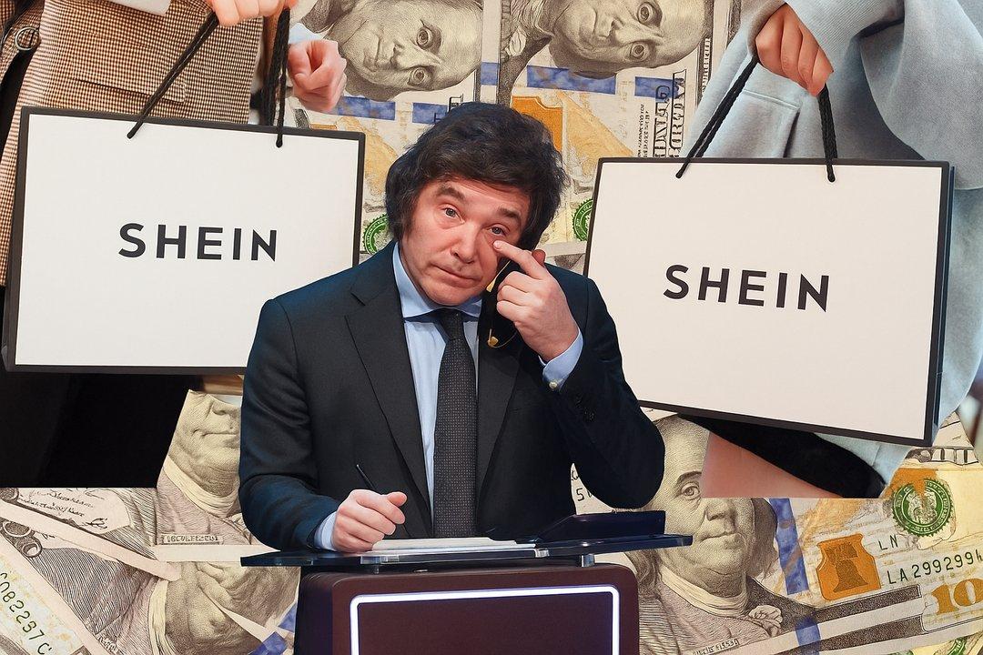 El Gobierno de Javier Milei entre los doacutelares que antes se llevaban al colchoacuten y que hoy van a Shein y Temu