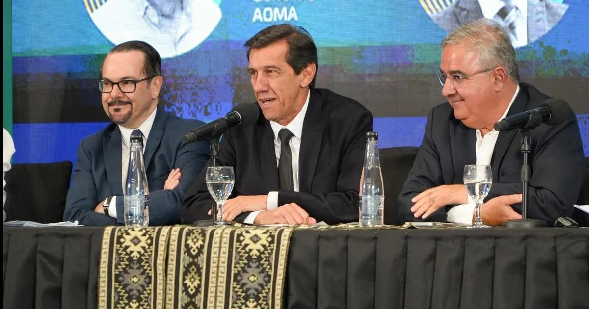 La Mesa del Litio requirioacute inversioacuten en infraestructura
