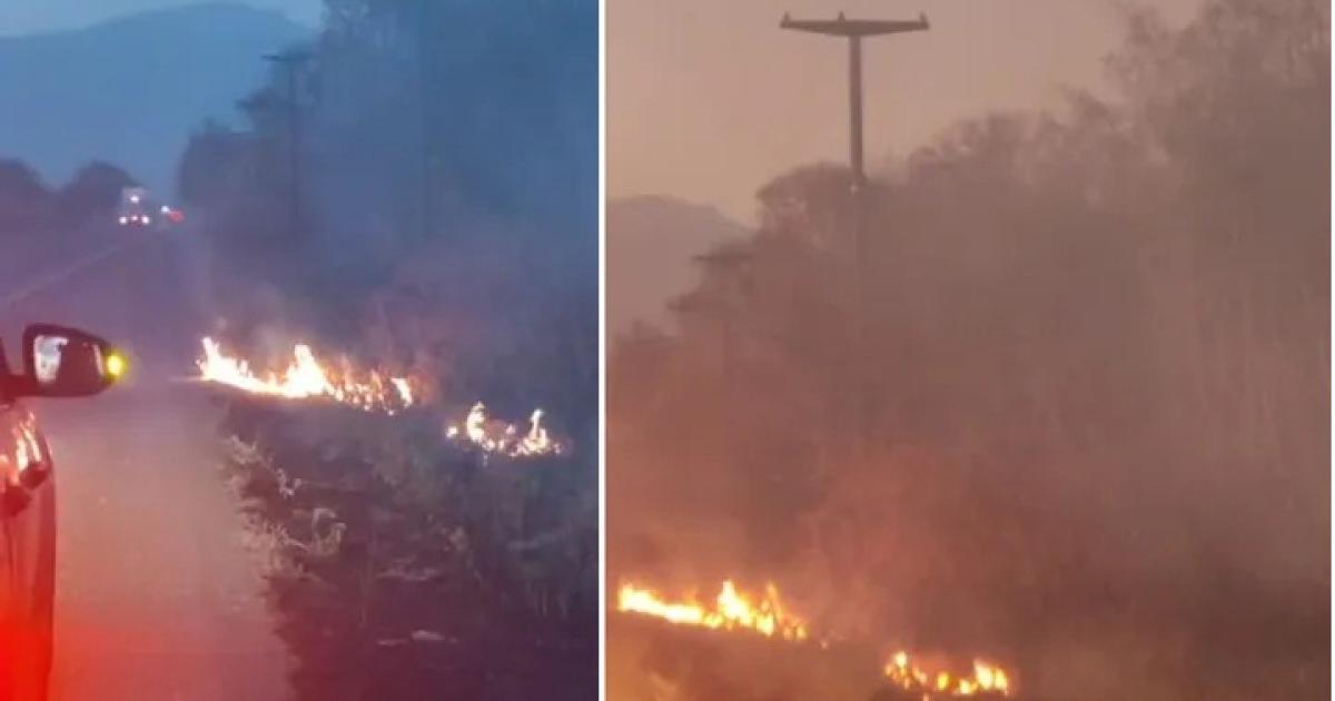 Un incendio forestal dejoacute sin luz a varias localidades de Ledesma