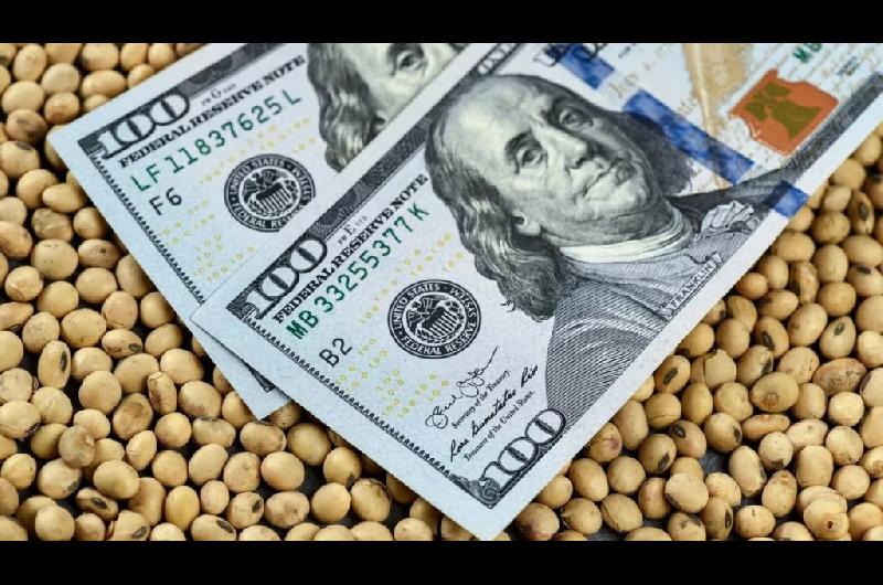 Advierten que el ingreso de doacutelares del agro podriacutea desplomarse un 80-en-porciento- en el final del antildeo